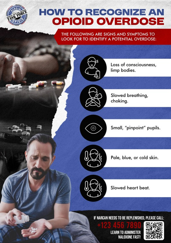 Westside Opioid Task Force portfolio example