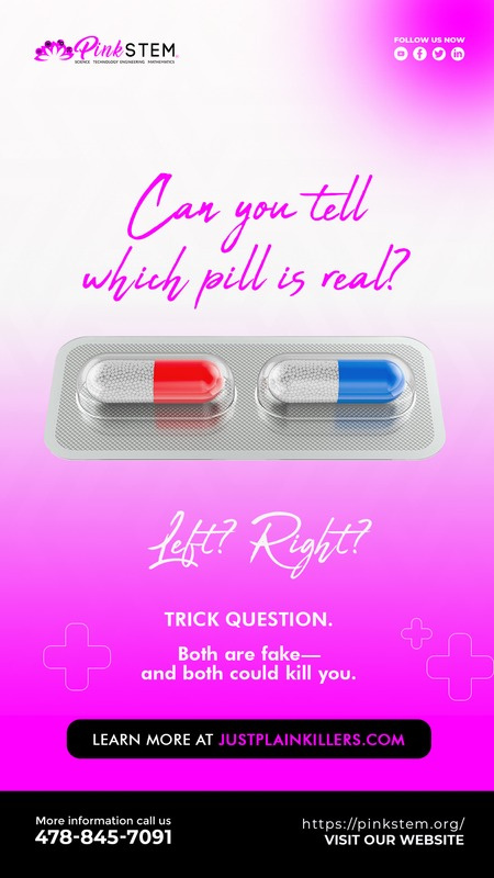 PinkSTEM youth prevention portfolio example